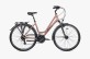 mini: Rower Unibike VISION LDS (1)
