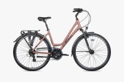 Obrazek dla: Rower Unibike VISION LDS